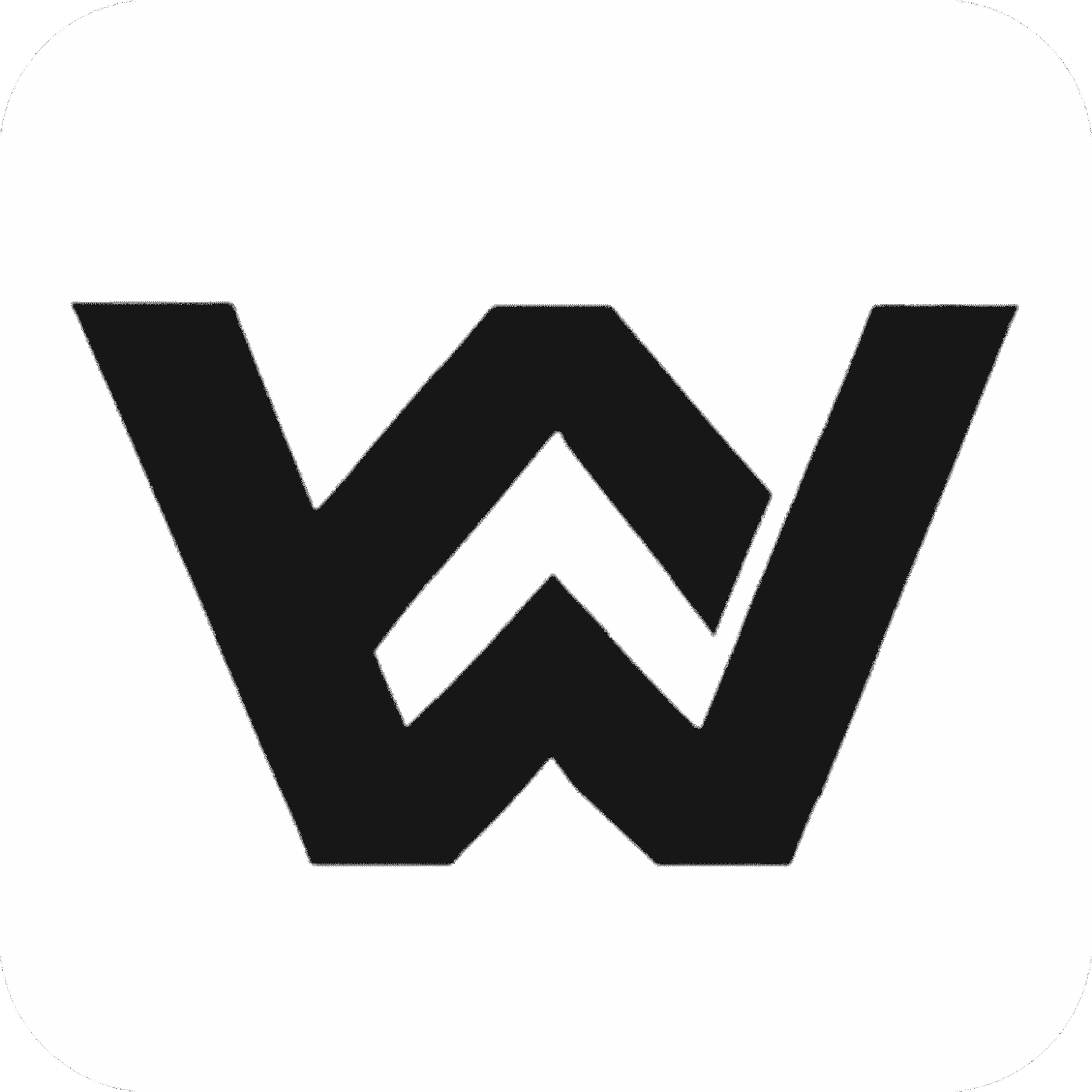 Webnity 8K High-Res Logo